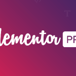 Elementor Pro 4.1.2